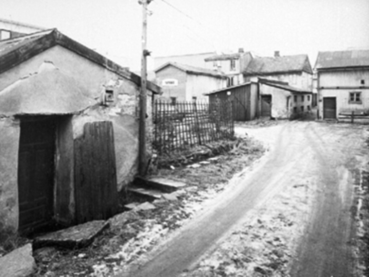 Anno Domkirkeodden, FUGLSETHS GARTNERI, DRIVHUS, BAKGÅRDEN M/LAGERHUS.