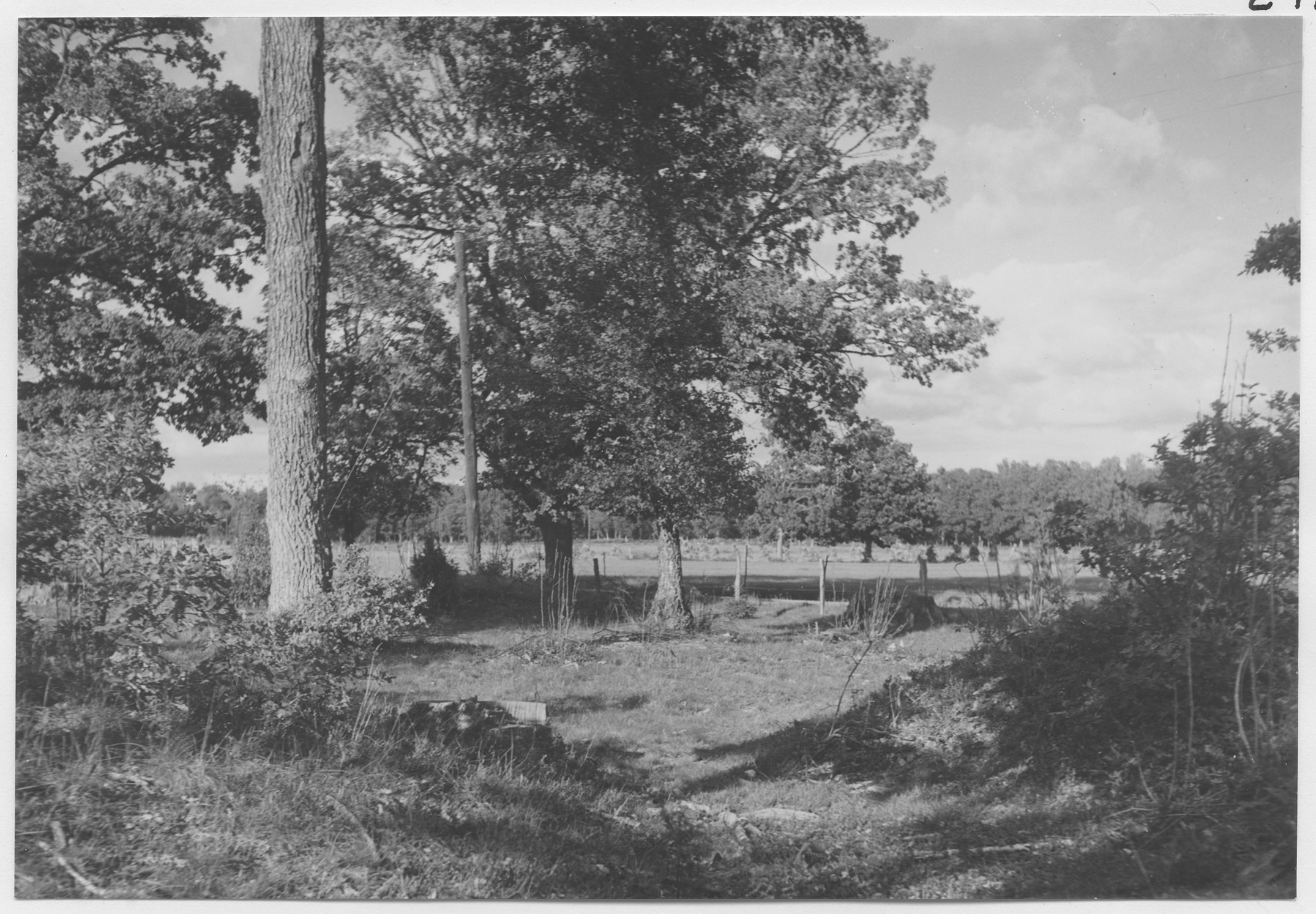 Mårten Sjöbeck, Järnåldersgravfält söder om Toftaholms herrgård