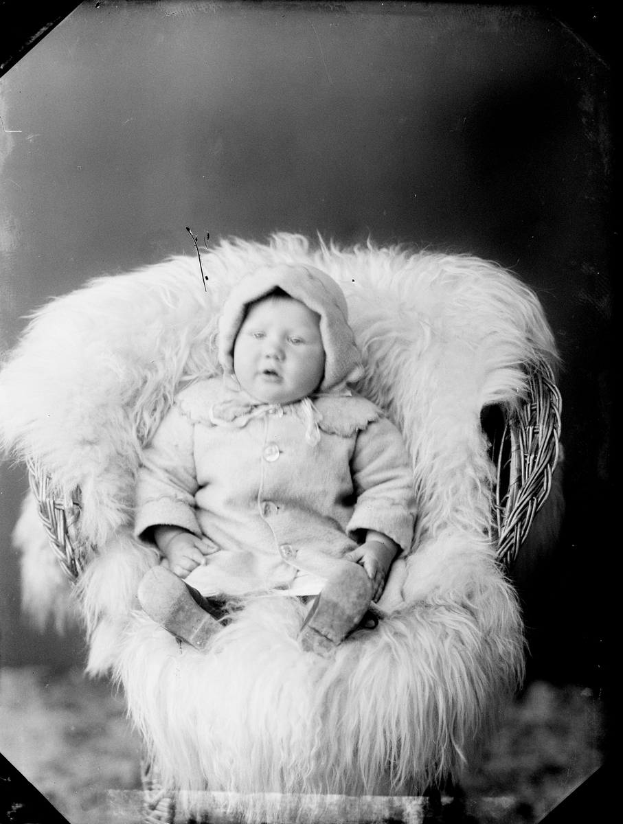 Skötsner-Edhlund, Ateljéporträtt - barn till Elsa Andersson från Aspö, Börstil socken, Uppland 1923