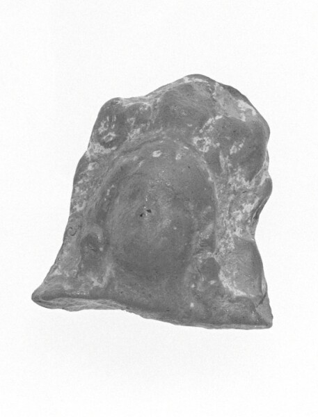 Unknown, Female Head Fragment