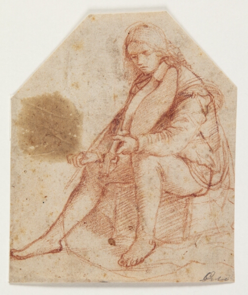 Bernardino Luini, Siddende yngling med viola