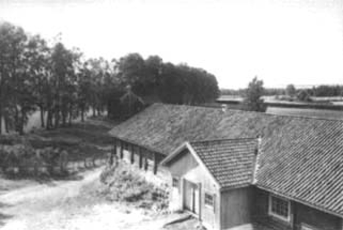 Anno Domkirkeodden, SKØIEN, SKØYEN, ROMEDAL, FJØSET