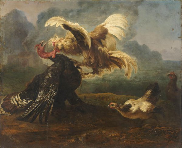 anonymous, The Flemish Cock and the Turkish Cock