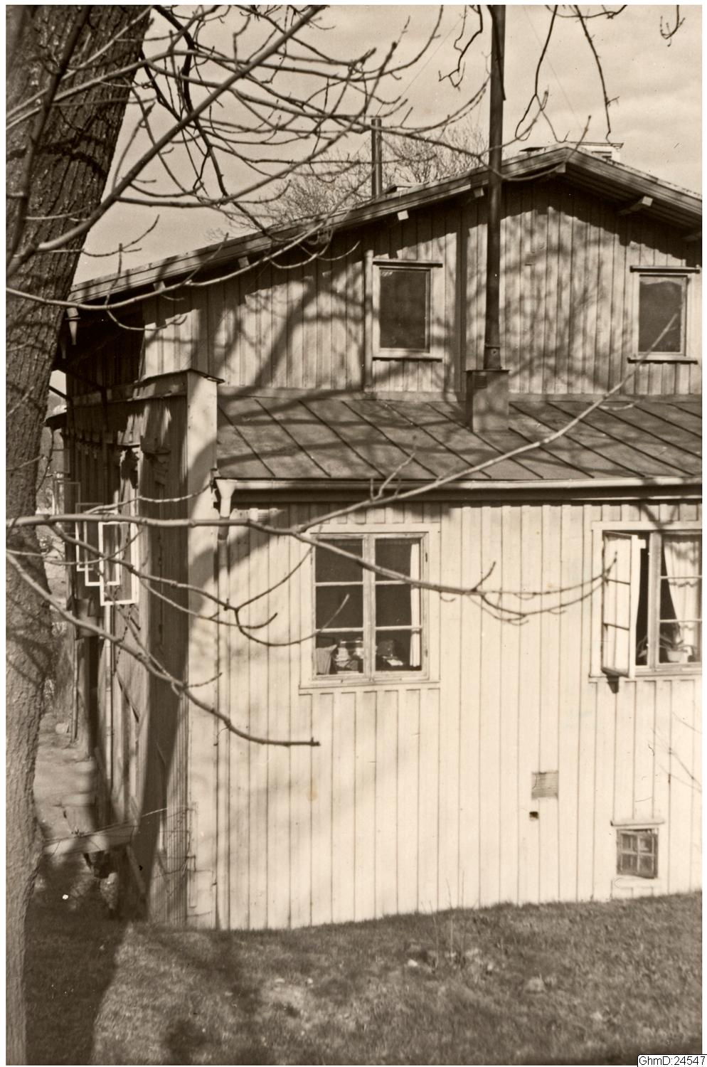 Hjalmar Wijk, påsiktsbild, fotografi, bilder