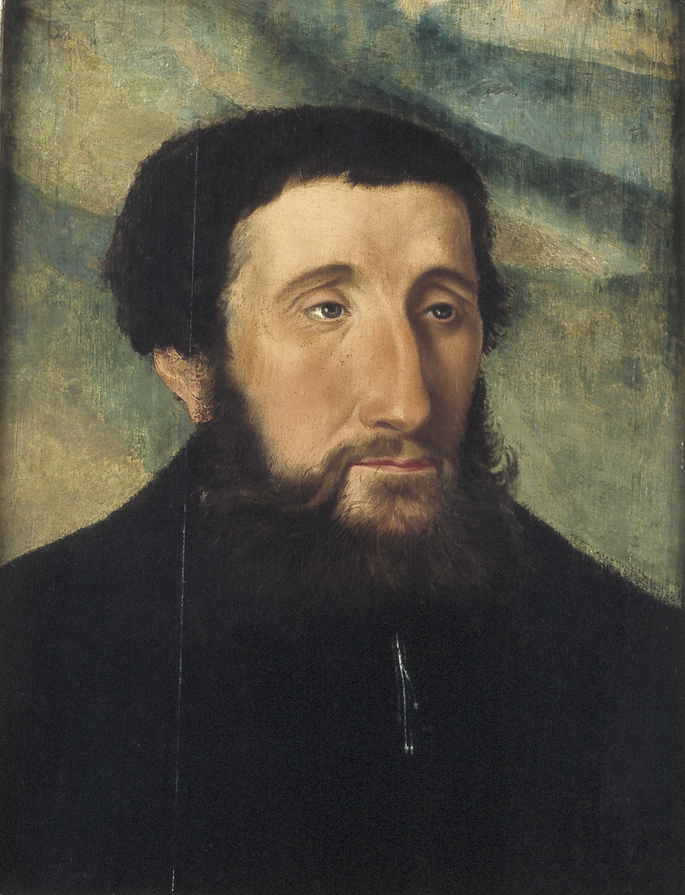 Jan Cornelisz Vermeyen, Portrait of a Man