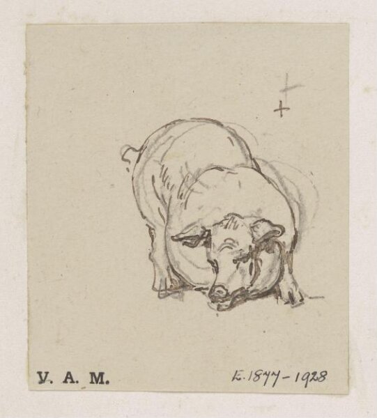 George Chinnery, A study of a pig