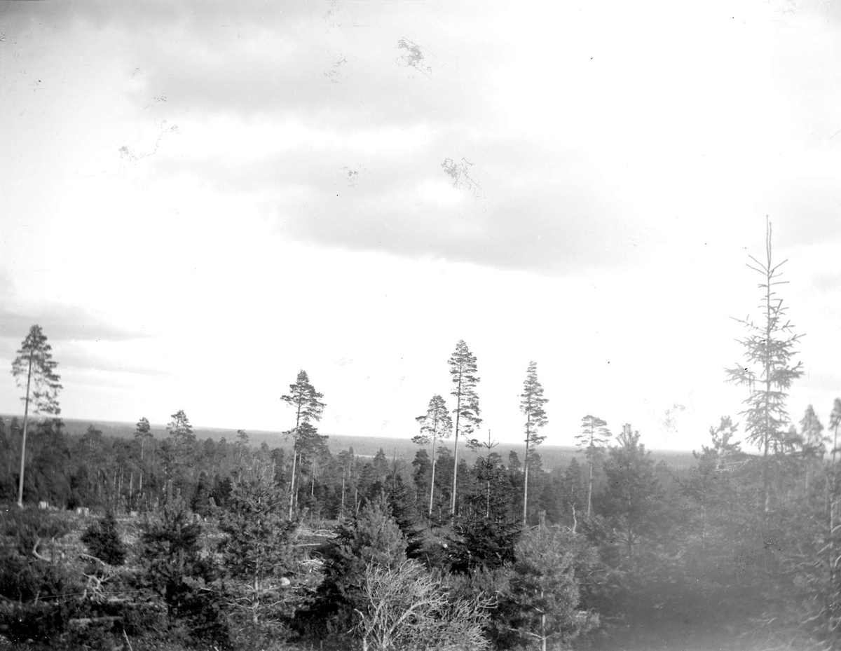 August Fredrik Schagerström, “Nora. Hedåsen. View Öfver Kusmossen and Dun”," Uppland 1920