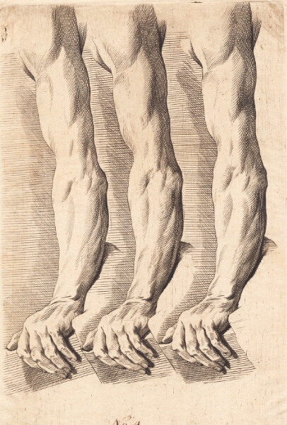 J.F. Clemens, Studieblad af arme