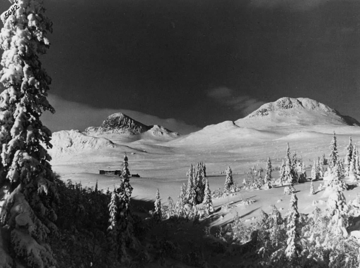 Anders Beer Wilse, Fjellvidde, Bebyggelse, Vinter, Sno