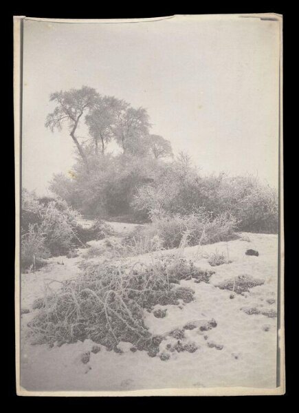 Gale, Lt. Col. Joseph, Landscape