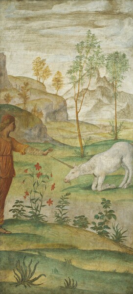 Bernardino Luini, Procris and the Unicorn