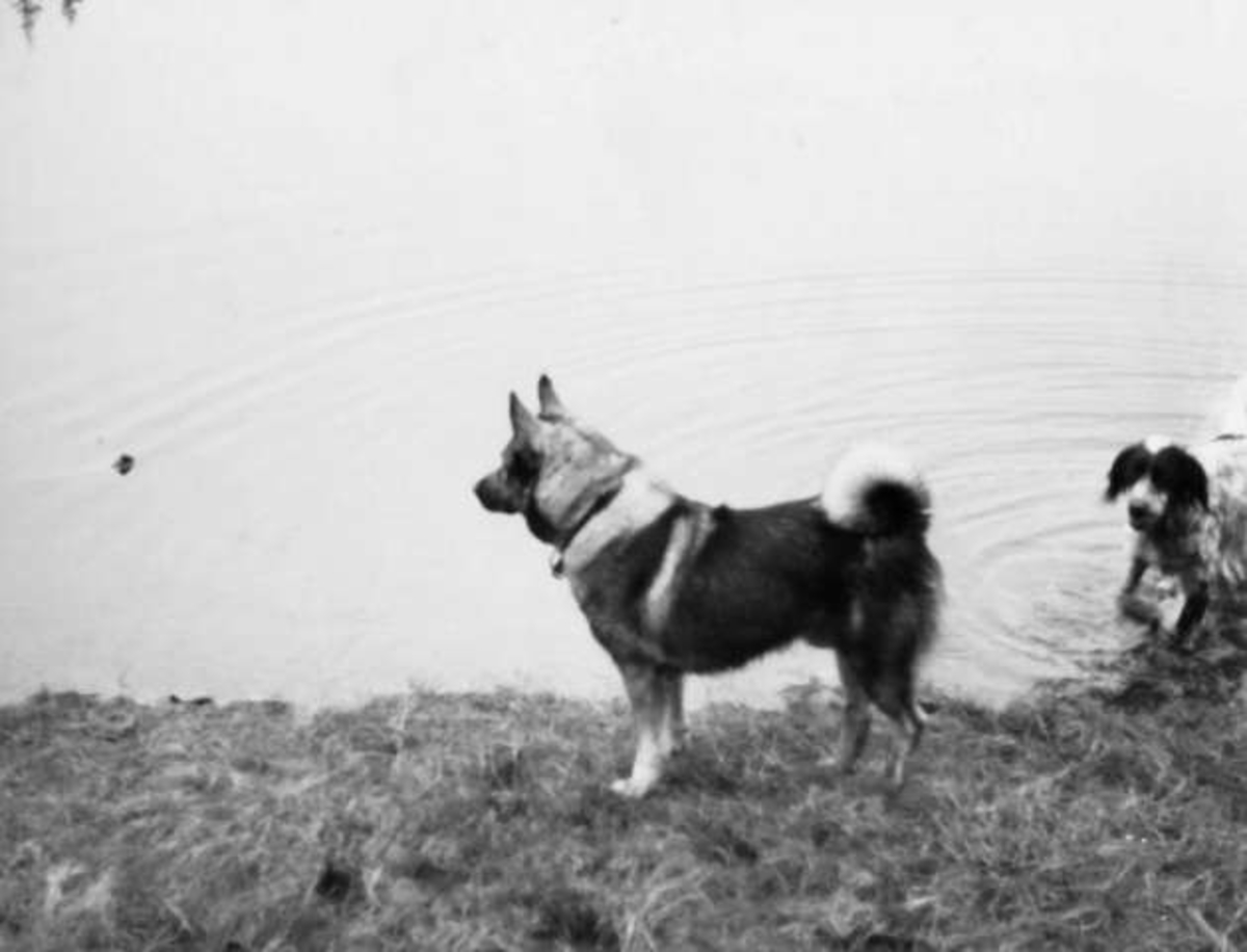 Anders Beer Wilse, -7857