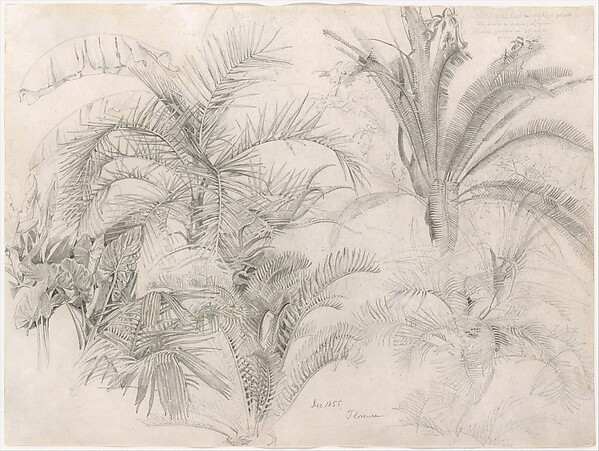 William Trost Richards, Palms