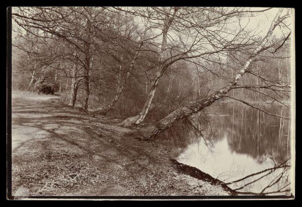 Gale, Lt. Col. Joseph, River with leafless trees