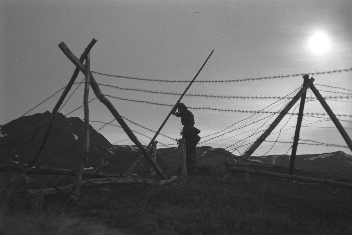 Ola Hanche-Olsen, NO.F003981