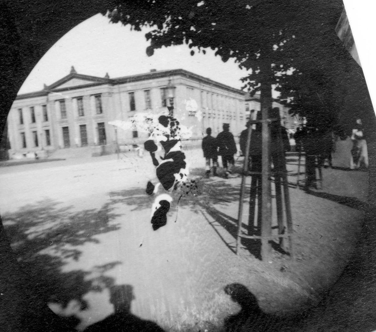 Fredrik Carl Mülertz Størmer, Fra Karl Johans gate, Oslo, og Universitetsplassen