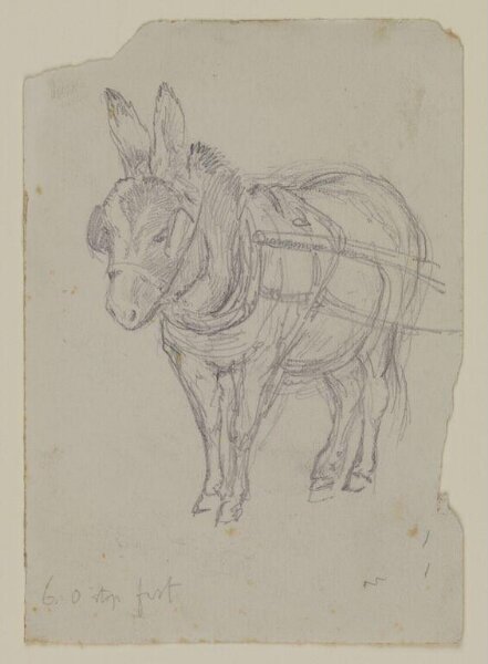 Potter, Beatrix, drawing