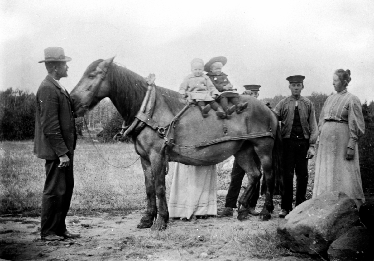 Anno Domkirkeodden, Fem voksne og to barn på Mo gård, Moelv, Ringsaker. Lars Glestad holder hesten. På hesteryggen er Even og Agnes Glestad.