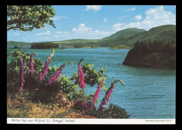 Hinde, John Wilfrid, Mulroy Bay near Milford, Co. Donegal, Ireland
