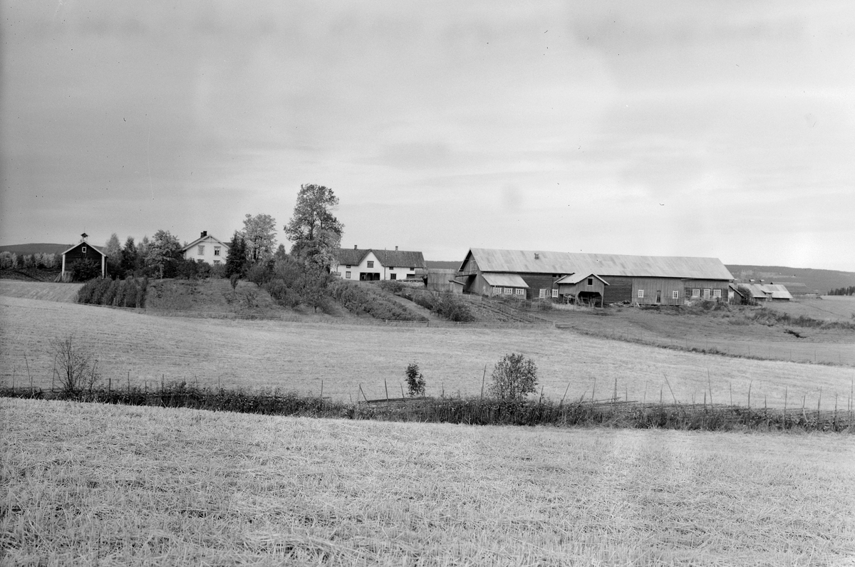Anno Domkirkeodden, Gardstun, Røne, Løten. Se Løtenboka, bind 1. Bygdeboka fra 1949, side 583