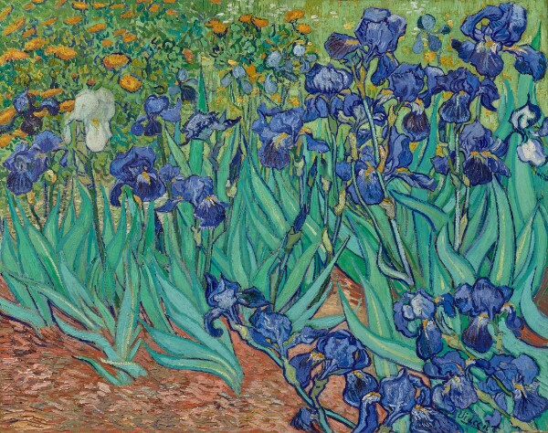 Vincent van Gogh, Irises