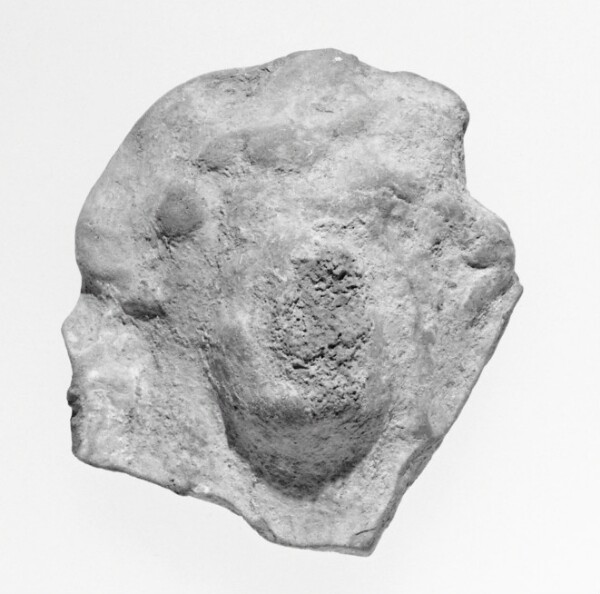Unknown, Female Head