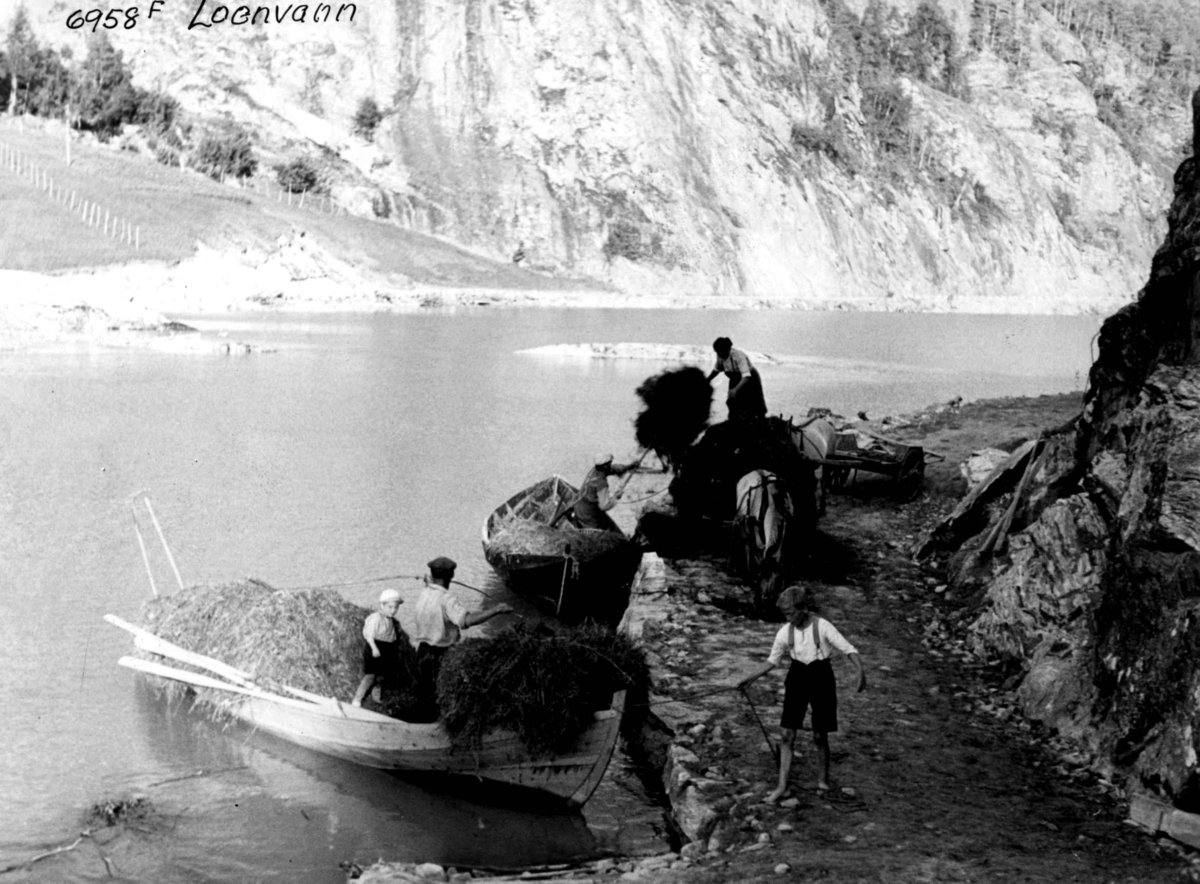 Anders Beer Wilse, Høytransport