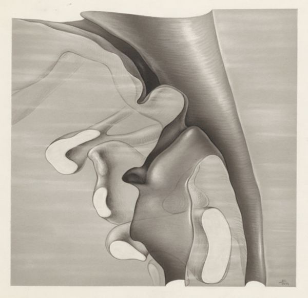 J Tinkelenberg, Specimen of the embryological head