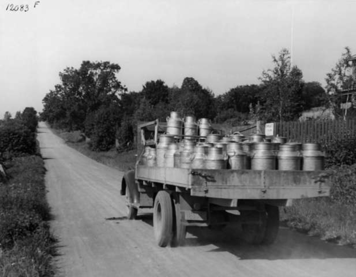 Anders Beer Wilse, -8015