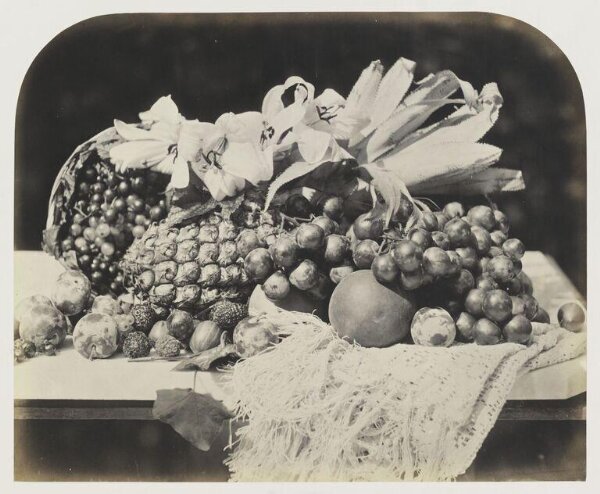 Fenton, Roger, Fruit and flowers