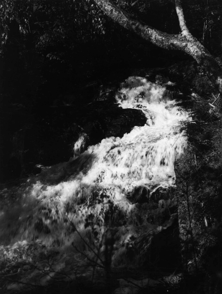 Anders Beer Wilse, Lysakerelva