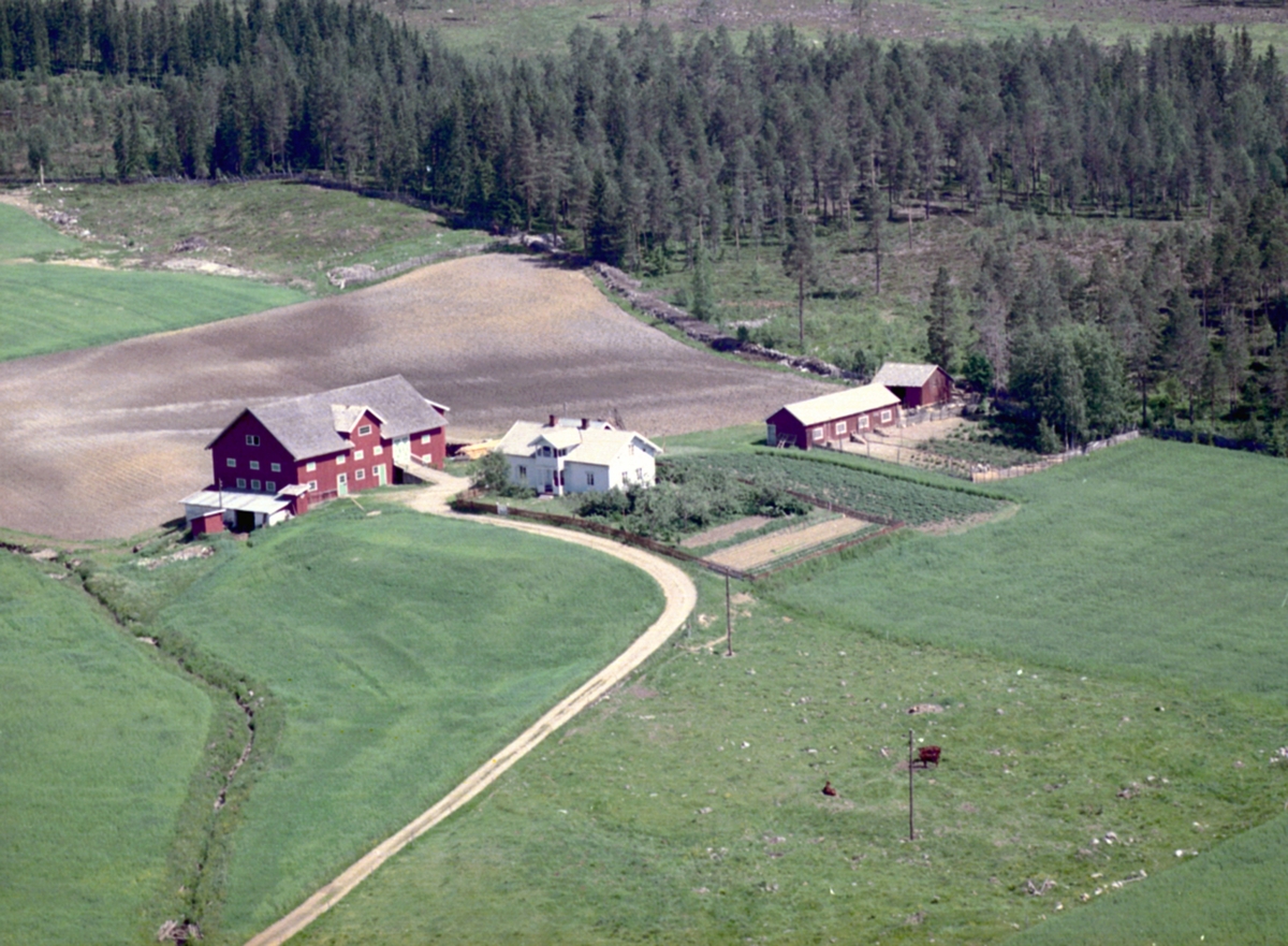 Widerøes Flyveselskap A/S, Flyfoto, Løten. Nordre Svartbekken (Gnr 0415-95/1) i Ringnes. Svartbekkvegen 17. Nå del av 0415-273/23