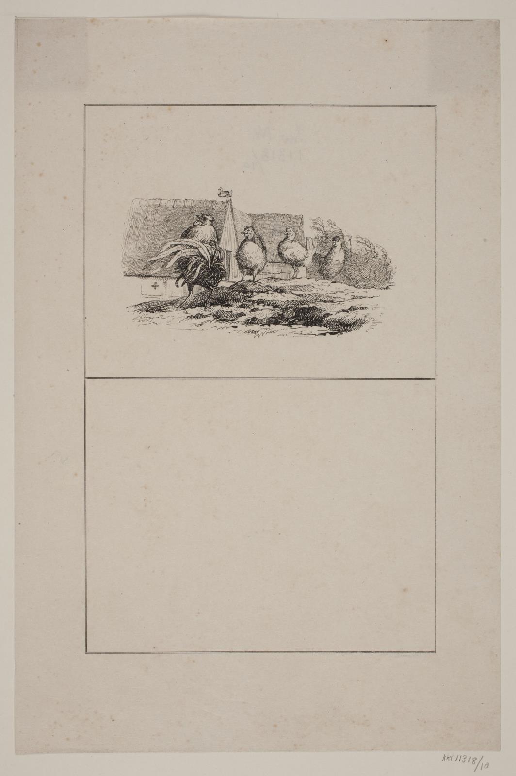 Adolph Kittendorff, Hanen