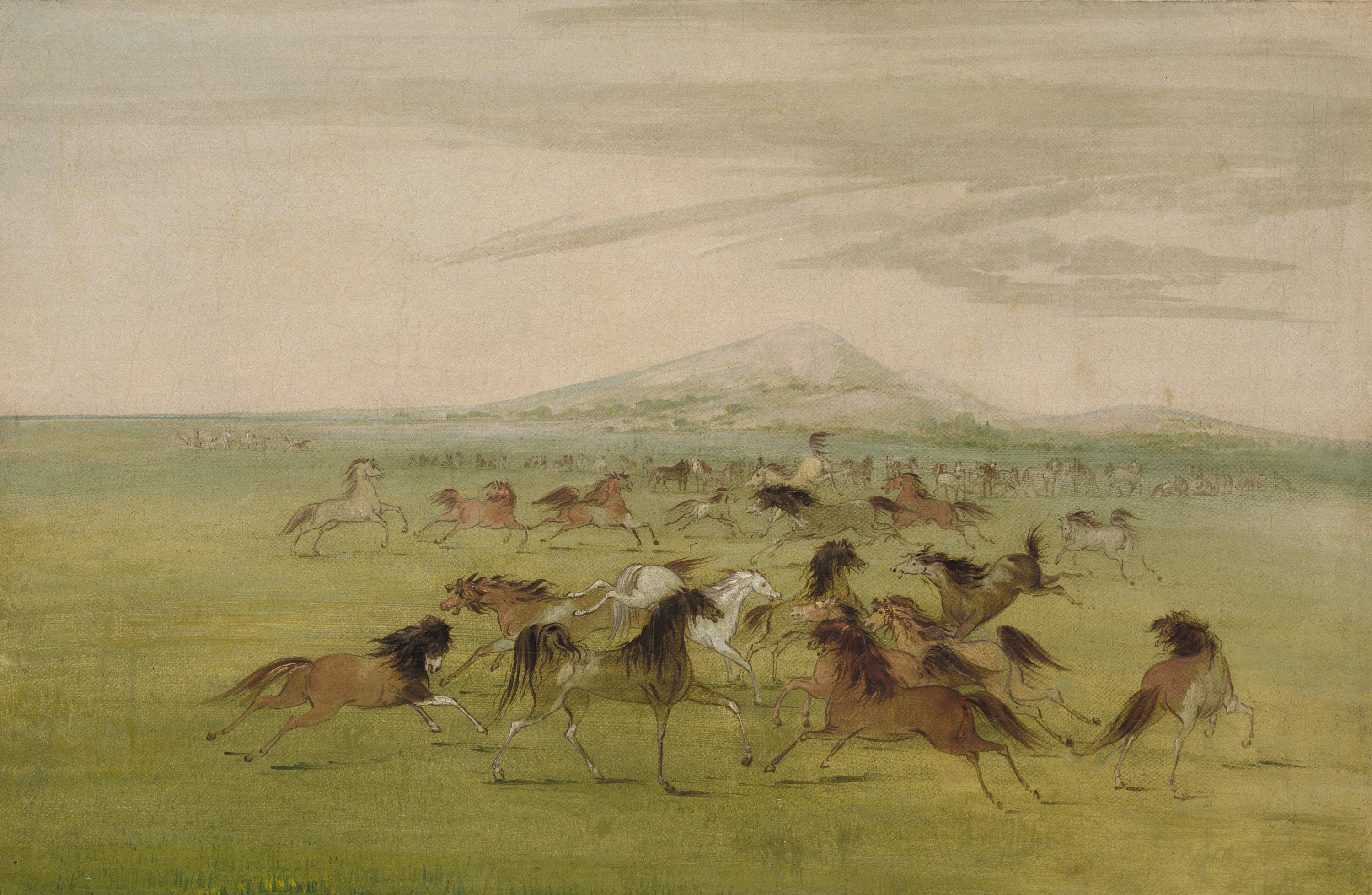 George Catlin, Wild Horses at Play