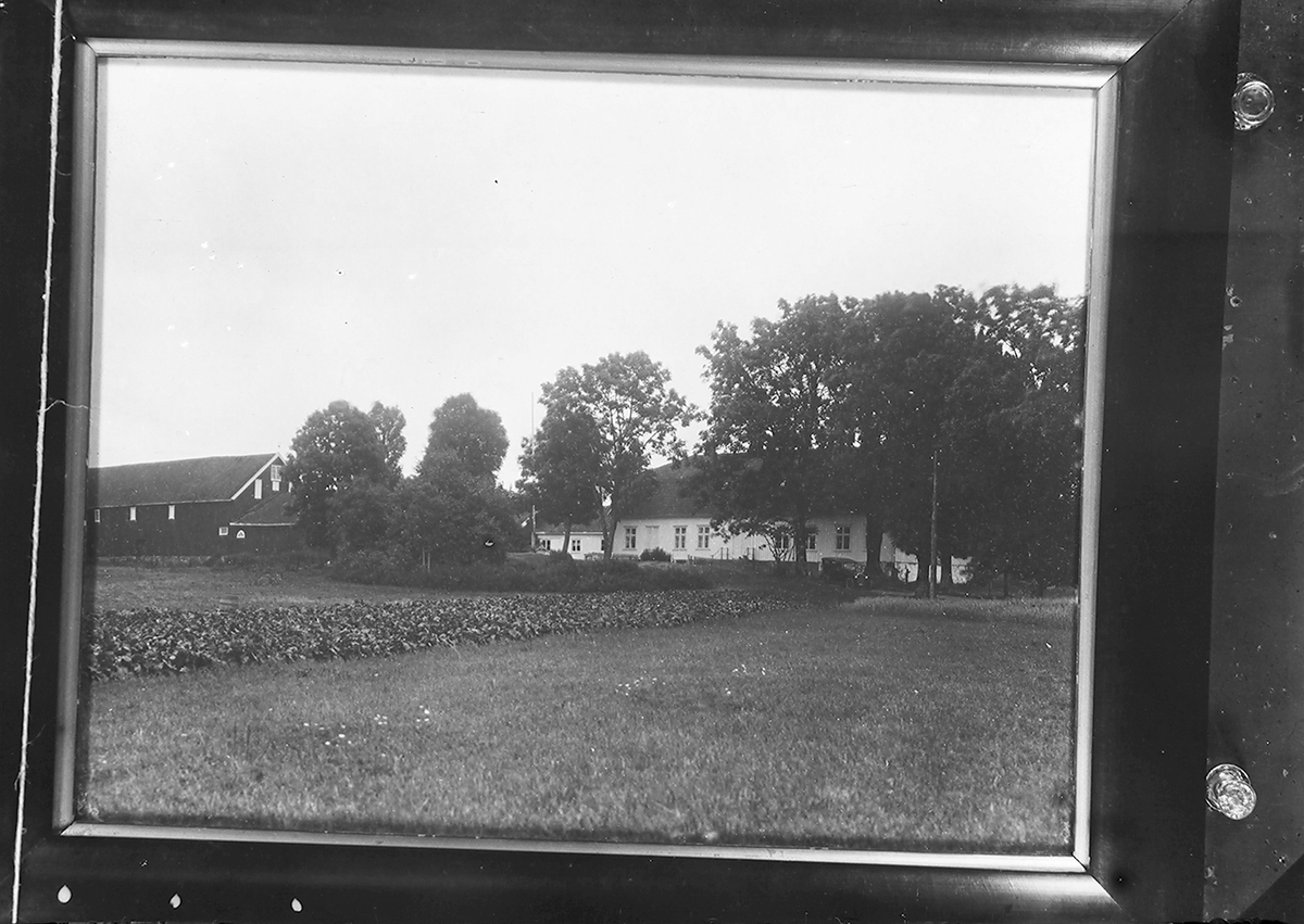 Anders Beer Wilse, Prot: Eitzen, fru gård