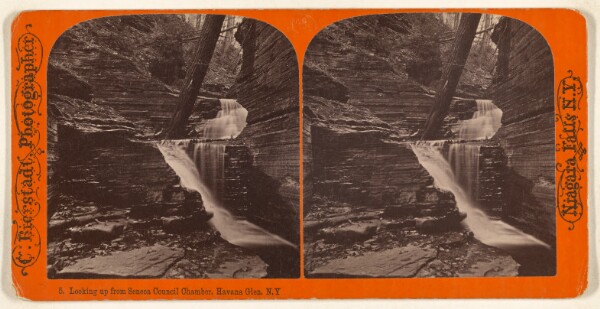 Charles Bierstadt, Looking up from Seneca Council Chamber, Havana Glen, N.Y.