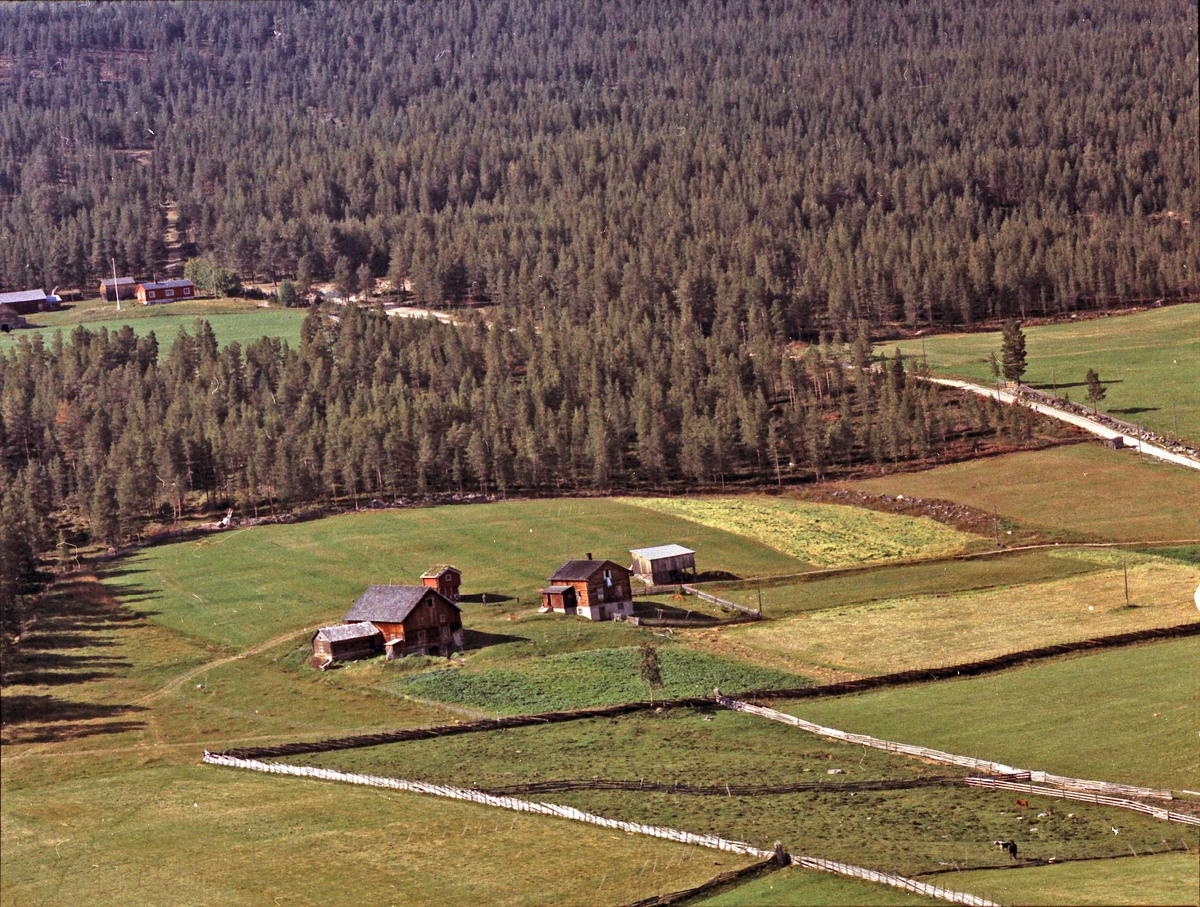 Widerøes Flyveselskap A/S, Gårdsbruk.