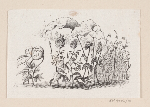 H.P. Hansen, Illustration til "Den lille Idas Blomster" i H.C. Andersen, "Eventyr og Historier", Bind 1