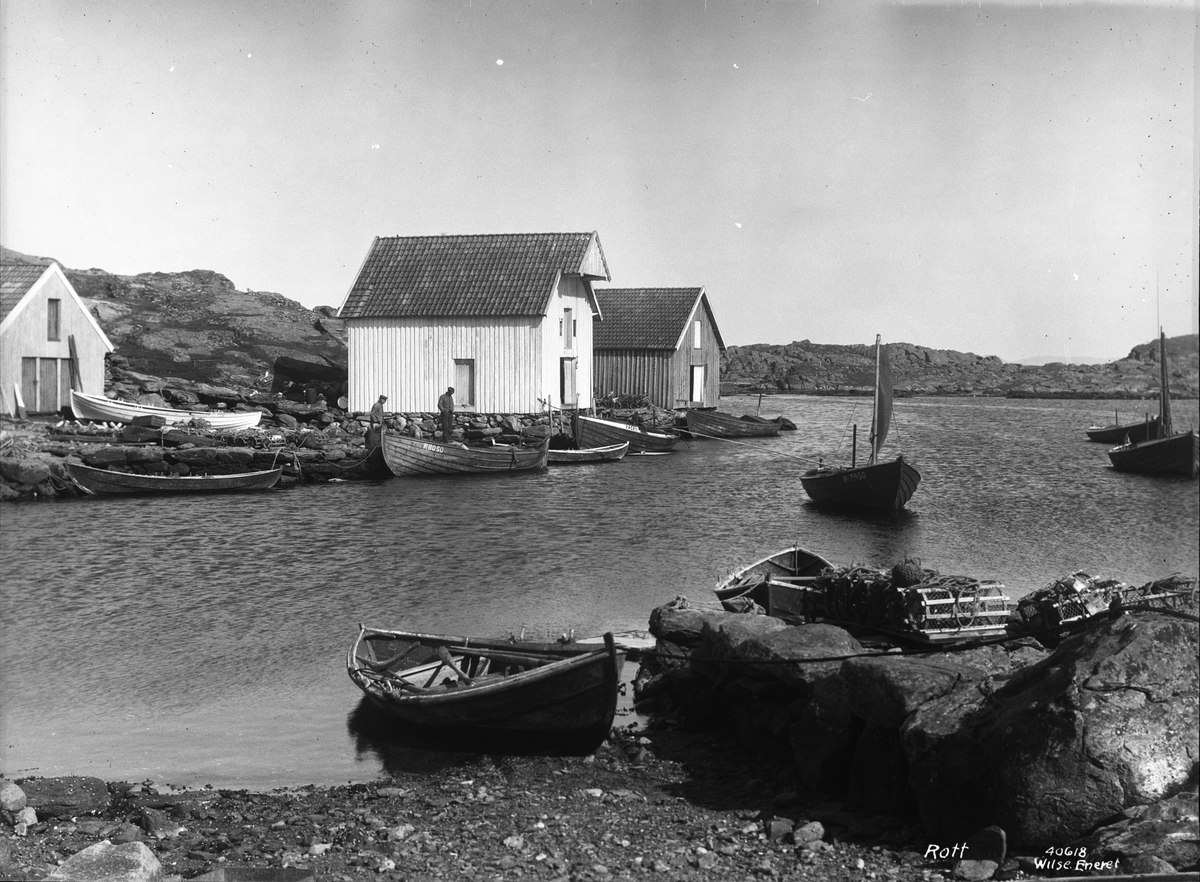 Anders Beer Wilse, Prot: Rott havnen