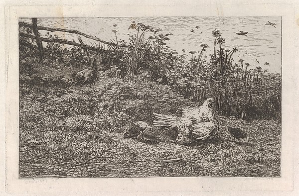 Charles-François Daubigny, Le Poule et ses Poussins