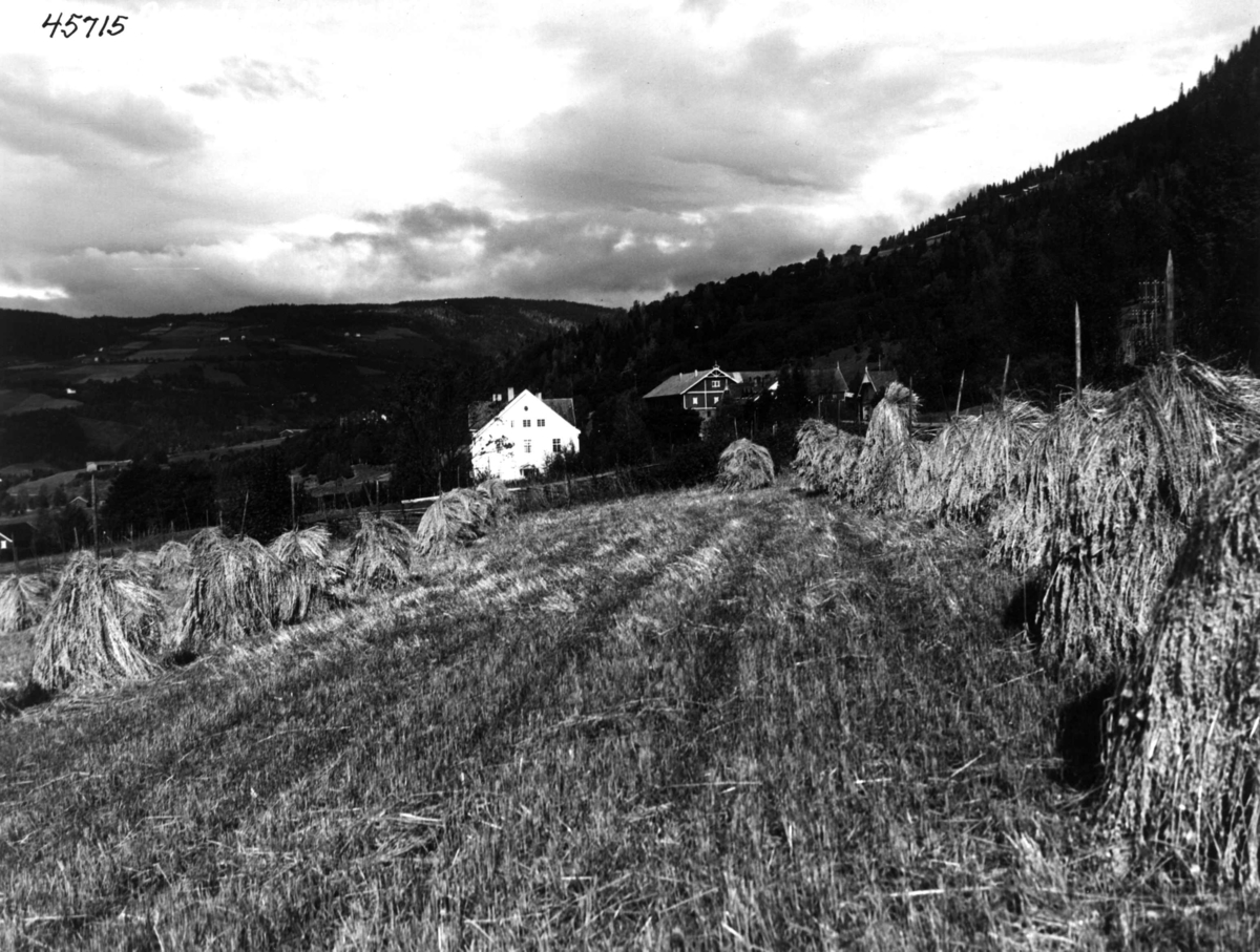 Anders Beer Wilse, Oppland Landbruksskole, Fåberg