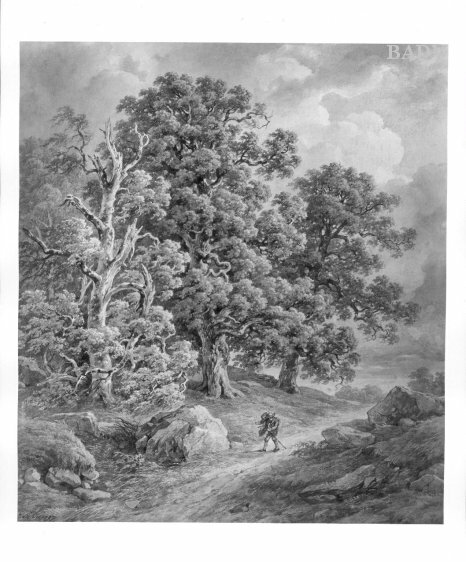 Josef Kriehuber, Eichen bei aufziehendem Gewitter