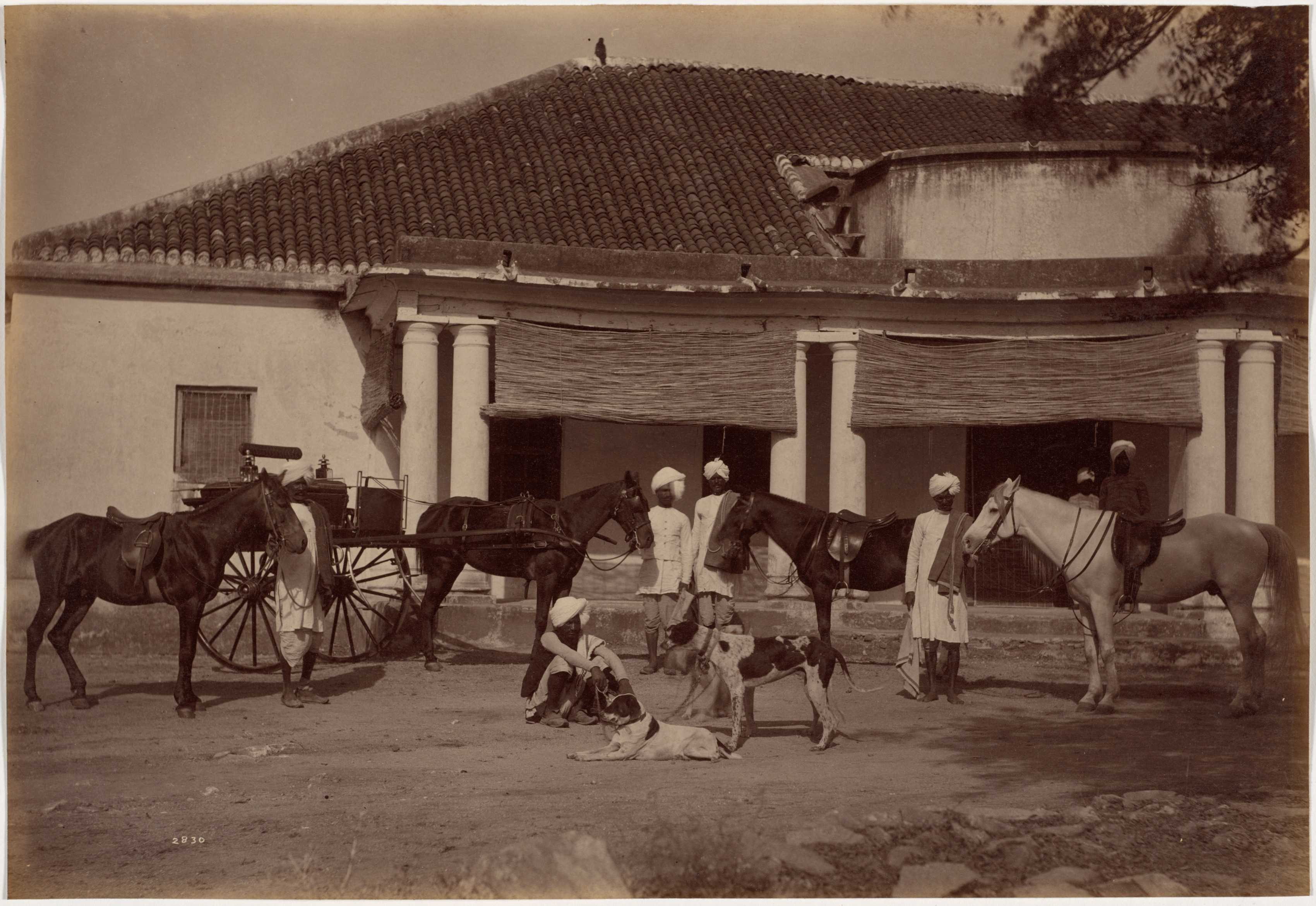 Raja Deen Dayal, Mr. Brown's Horses, Jhansi