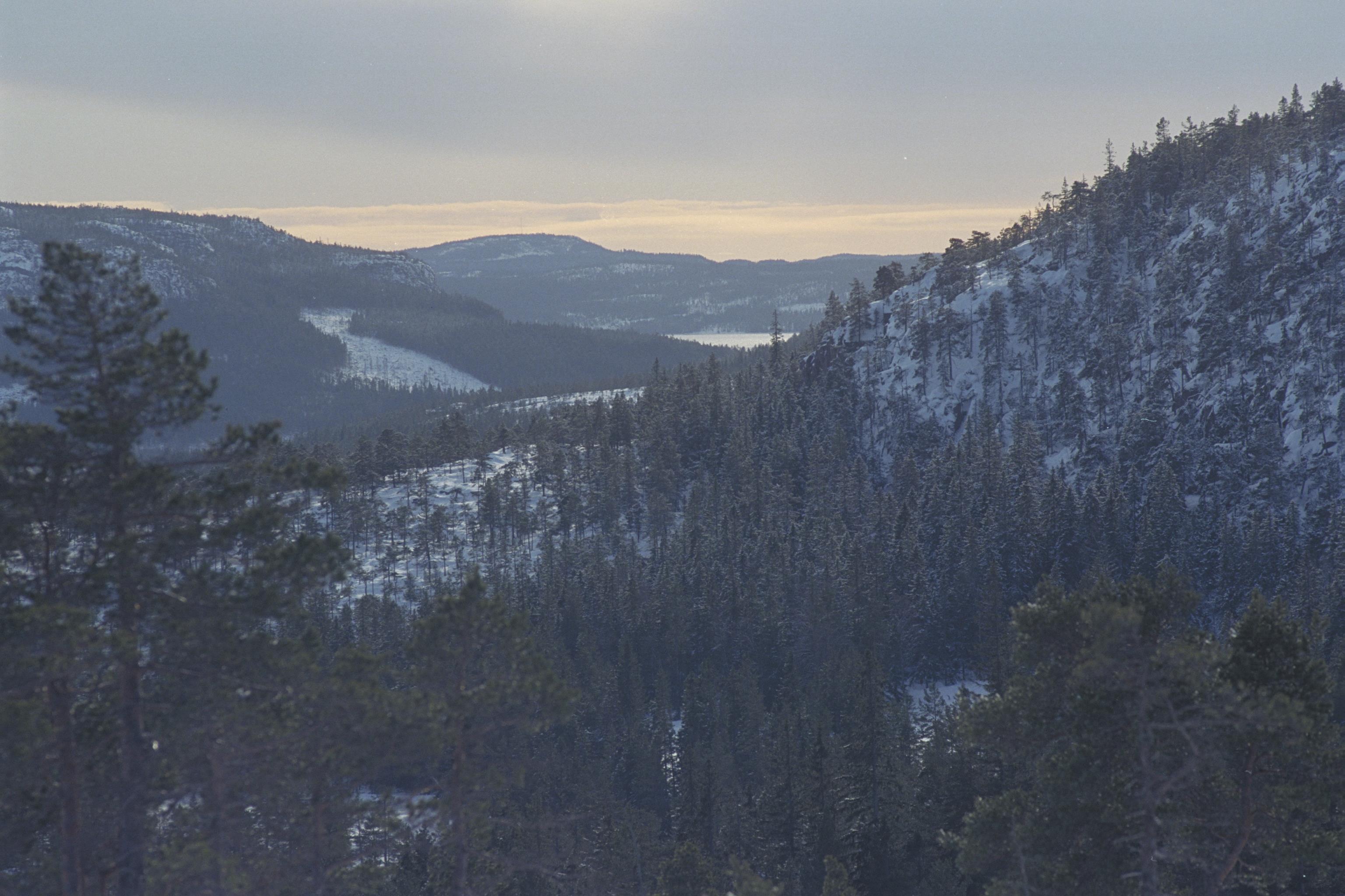 Bengt A Lundberg, Skuleskogens Nationalpark