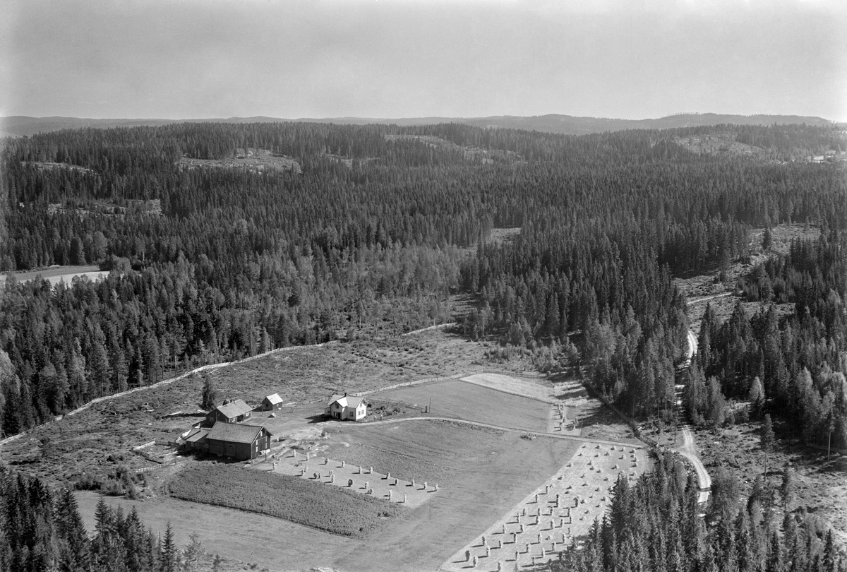Widerøes Flyveselskap A/S, FLYFOTO, TINGSTADENGA 262-5, ÅSBYGDA