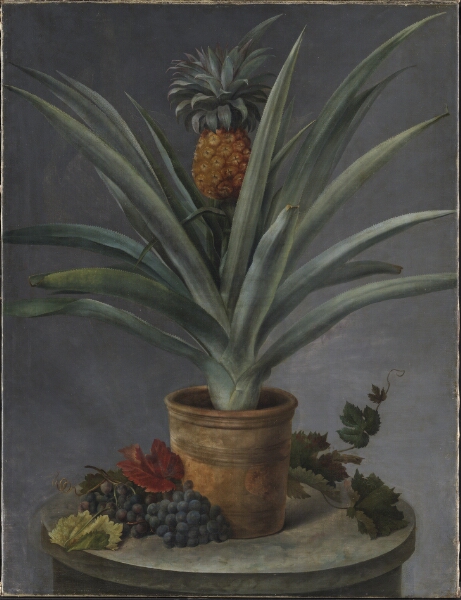 Hermania Neergaard, En ananas i urtepotte og druer på et stenbord