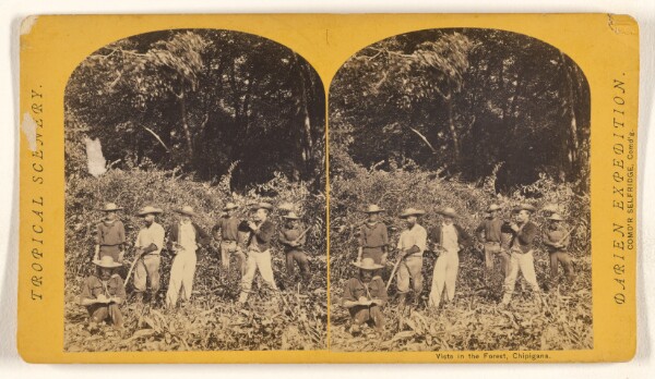 Timothy H. O'Sullivan, Vista in the Forest, Chipigana.