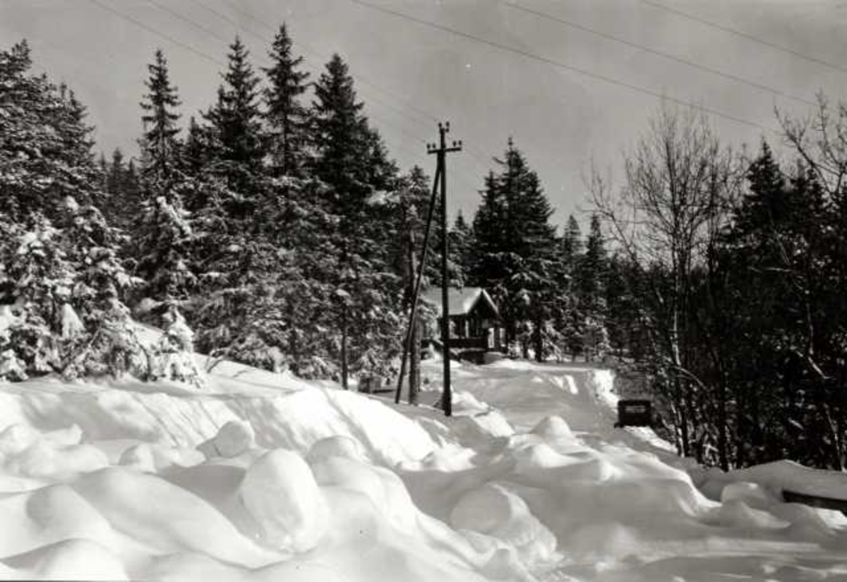 Hermann Christian Neupert, Nordmarka, Oslo. Vinterskog med hytte og bil.