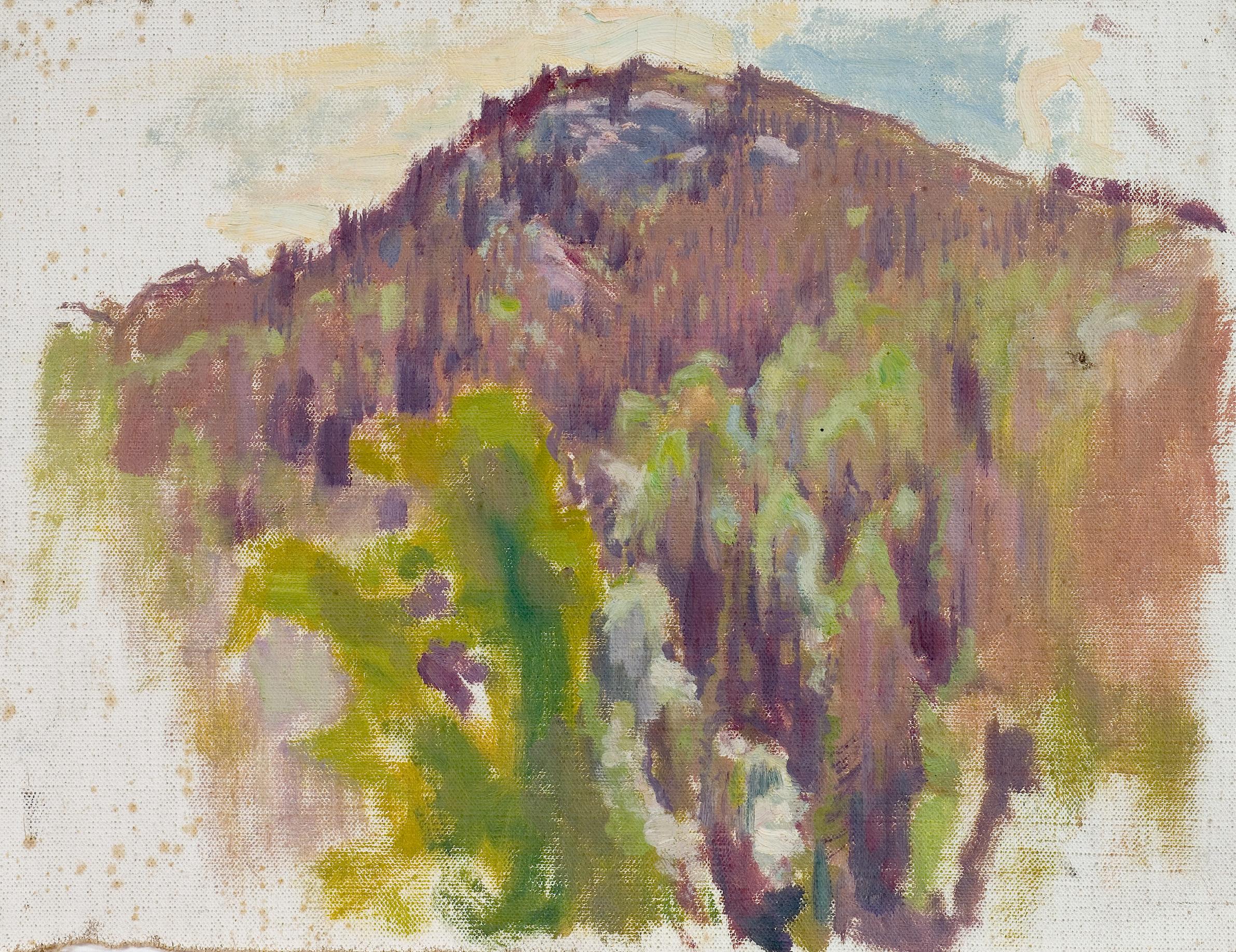 Eero Järnefelt, "Vaaramaisema"