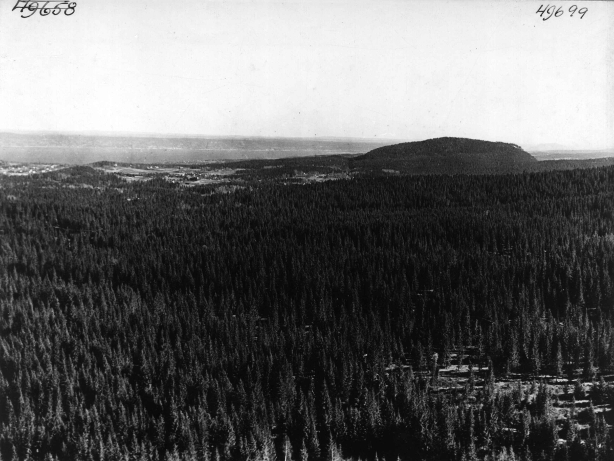Anders Beer Wilse, Utsikt fra Bergsåsen